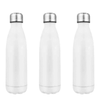 25oz Stainless Steel Water Bottle