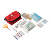16 Piece First Aid Kit