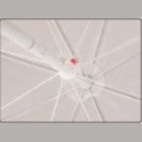 UV Coated Beach Umbrella 36UV