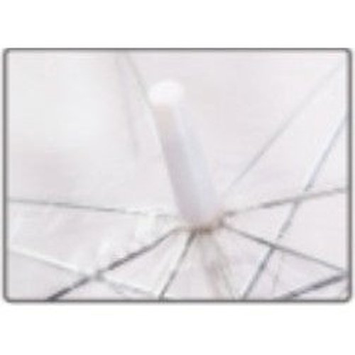 Clear Hook Handle Umbrella 32C