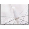 Clear Hook Handle Umbrella 32C