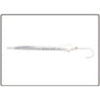 Clear Hook Handle Umbrella 32C