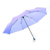 UV Coated Mini Umbrella 24