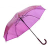 Clear Hook Handle Umbrella 32C