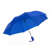 Mini Umbrella 31