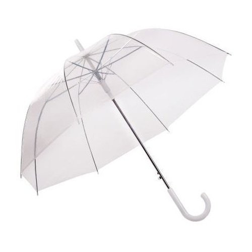 Clear Hook Handle Umbrella 32C