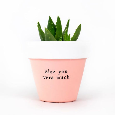 Birthday For Her - Plants