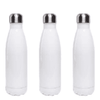 17oz Stainless Steel Water Bottle