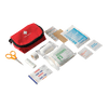 16 Piece First Aid Kit