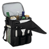Cooler and BBQ Set