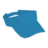 Arena Visor
