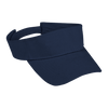 Arena Visor