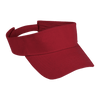 Arena Visor
