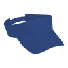 Arena Visor