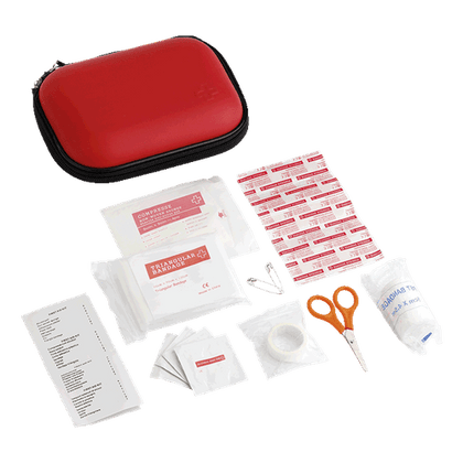 16 Piece First Aid Kit in EVA Case