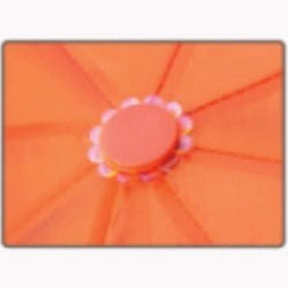 Mini Umbrella 66